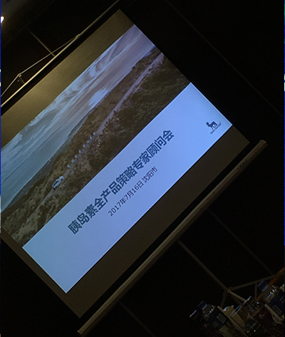 赛诺胰岛素专家顾问会